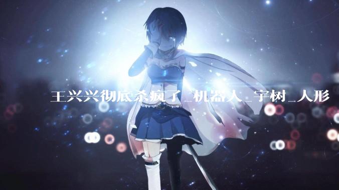 王兴兴彻底杀疯了_机器人_宇树_人形